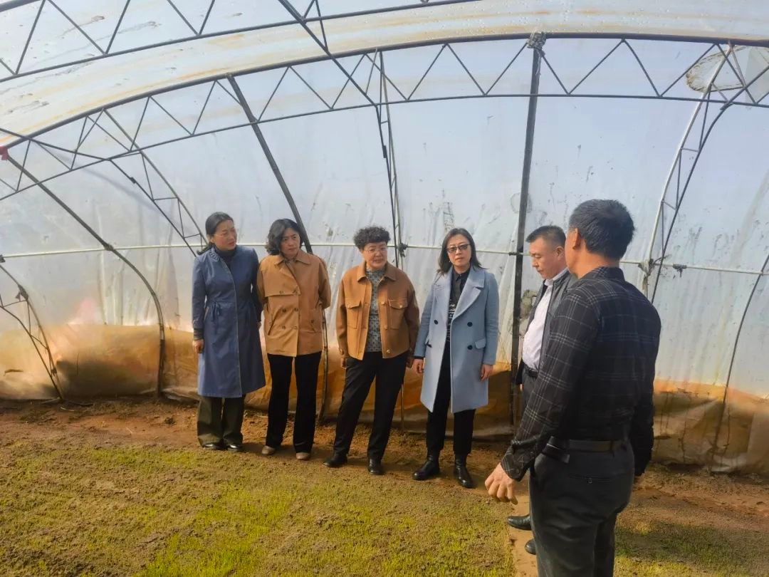 前郭县妇联开展 “巾帼科技助农直通车”活动